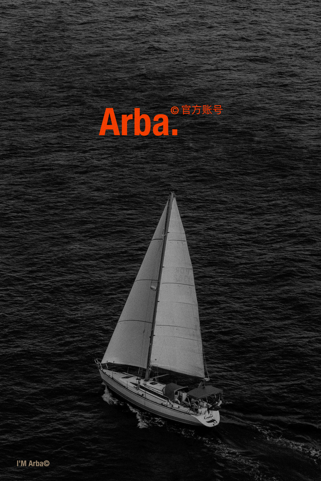 Spring and Autumn Premium Sports Denim Xinjiang Cotton Minimalist Zero Pressure Lightweight Denim Jacket