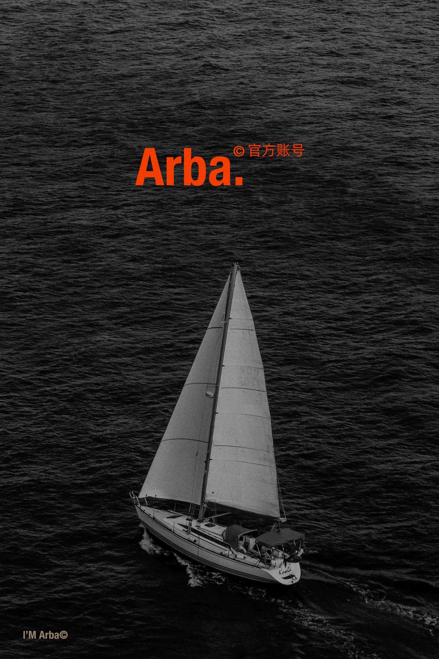 Spring and Autumn Premium Sports Denim Xinjiang Cotton Minimalist Zero Pressure Lightweight Denim Jacket