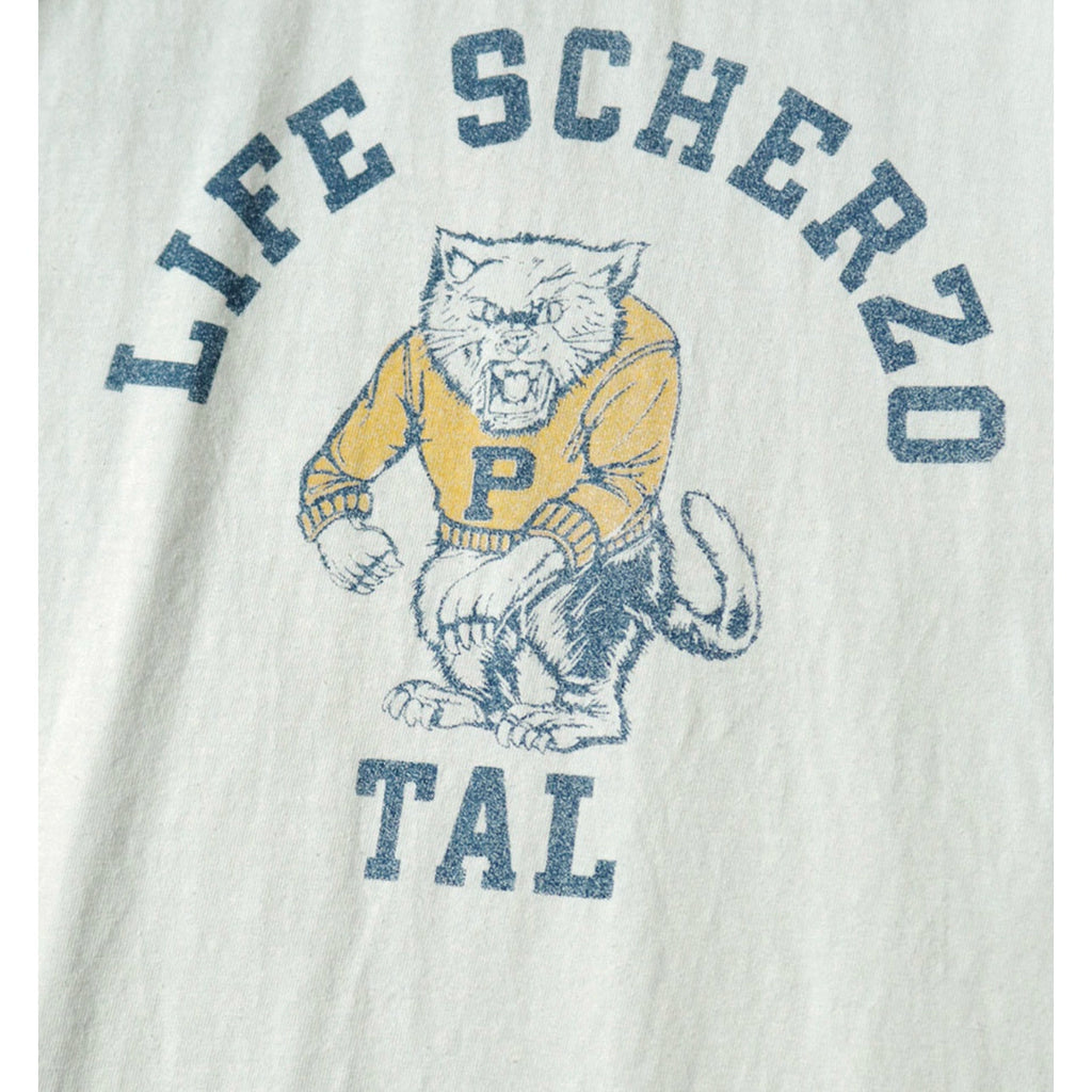 Japanese casual cotton tiger fun print loose crew neck short sleeve T-shirt