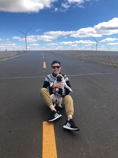 Handmade Fair Isle Wool Cardigan – Artistic Ferris-Wheel Pattern (Unisex)